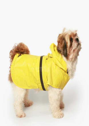 DogsMart Dog Raincoat Mango Yellow
